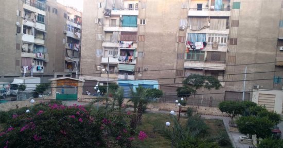 أهالى الفردوس بالدقهلية يطالبون بإحياء حدائق المجزر الآلى بالتعاونيات