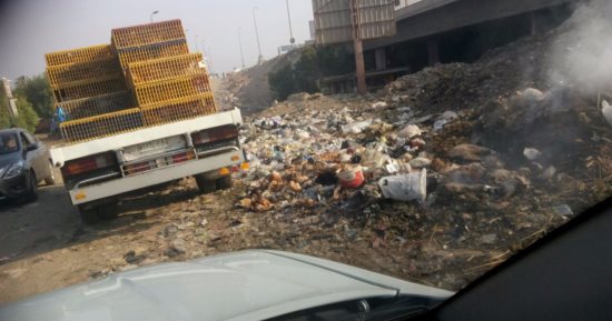قارئ يرصد سيارة تلقى مخلفات الجزارة بجوار نفق كفر طهرمس فى الجيزة