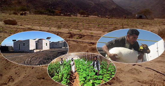 بالصور.. خطة حكومية شاملة لتنمية المناطق الحدودية.. "الزراعة" تحول حلايب وشلاتين إلى جنة خضراء.. واستصلاح 200 فدان وحفر وتطهير 10 آبار خلال فترة وجيزة.. و50 صوبة خضروات.. وتوزيع 2000 رأس أغنام على المزارعين