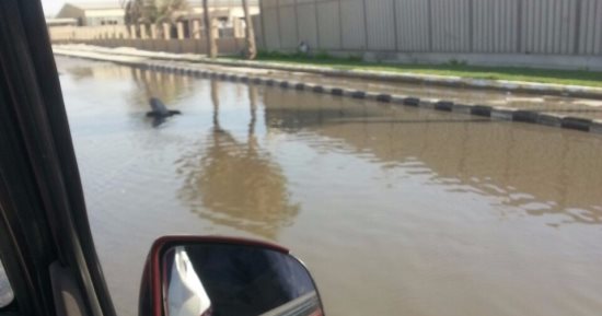 مياه الصرف الصحى تغرق شوارع المنطقة الصناعية فى مدينة 6 أكتوبر