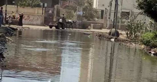 بالصور.. الصرف الصحى يغرق قرية الحبس بالشرقية