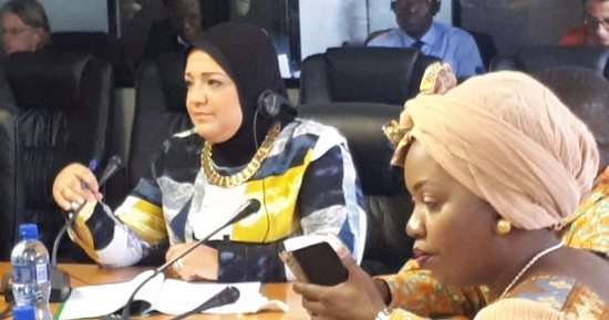 مى محمود ببرلمان أفريقيا: السيسى ومجلس النواب والحكومة يدعمون تمكين المرأة