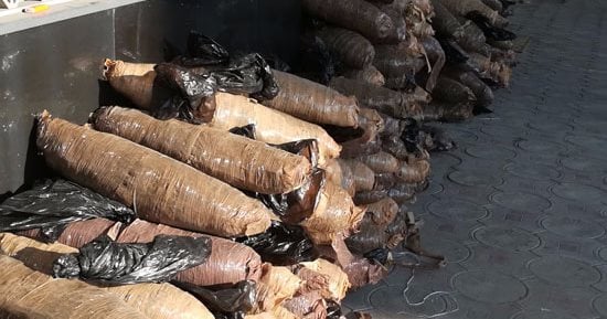 سقوط 4 متهمين بحوزتهم بانجو وهيروين فى الإسماعيلية