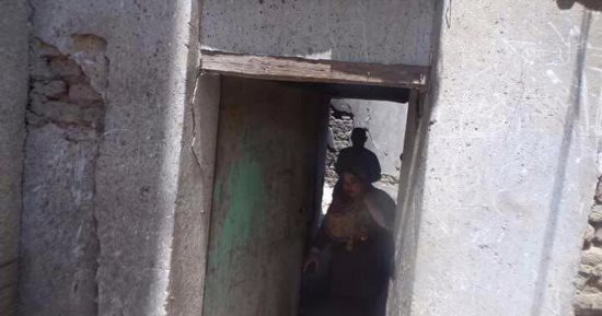 بالصور.. "تحيا مصر" يبدأ تشجير ودهان طريق منزل الزعيم جمال عبدالناصر