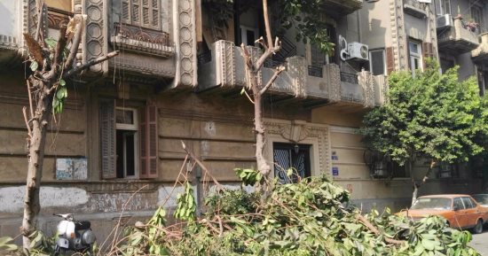 تعرف على عقوبة قطع الأشجار والنخيل وفقا لقانون الموارد المائية والرى