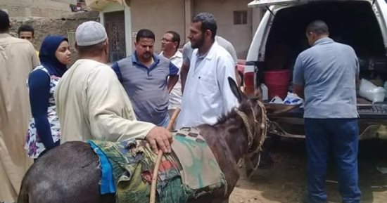 بالصور.. "بيطرى الدقهلية" وجامعة المنصورة يرسلان قافلة لتحصين الماشية والدواب