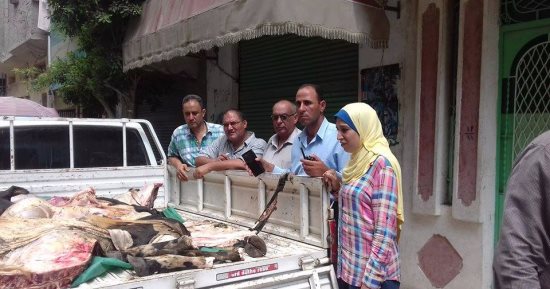 بالصور ..إعدام لحوم مذبوحة خارج السلخانة وغير صالحة للاستخدام بكفر الشيخ