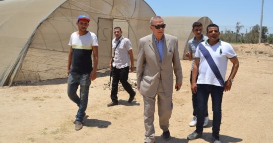 محافظ قنا يتفقد مشروعات الأمن الغذائى بمنطقة المعنا