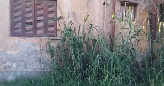 شكوى من حصار مياه الصرف الصحى لمنزل بقرية تله بالمنيا