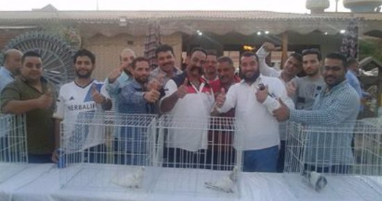 مهرجان سنوى لتربية الحمام فى محافظ دمياط