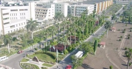 محافظ الدقهلية: خطة لرفع كفاءة مدينة جمصة 