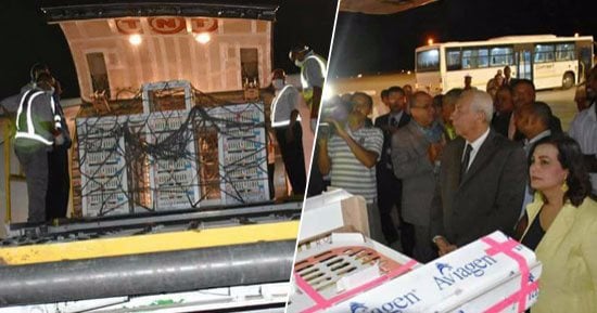 ما لا تعرفه عن كتاكيت جدود الدواجن بعد استقبالها فى المطار.. سعر "الجدة" يصل لـ800جنيه.. ومصر تستورد 340 ألفا لإنتاج 14 مليار دجاجة تسمين.. "منتجى الدواجن": نستورد 400 ألف "أم أجنبية" لإنتاج 12مليار بيضة سنويًا