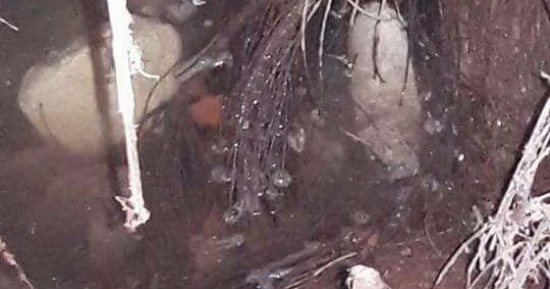 بالصور.. مياه الرى تغرق مقابر قرية بحر البقر فى الشرقية