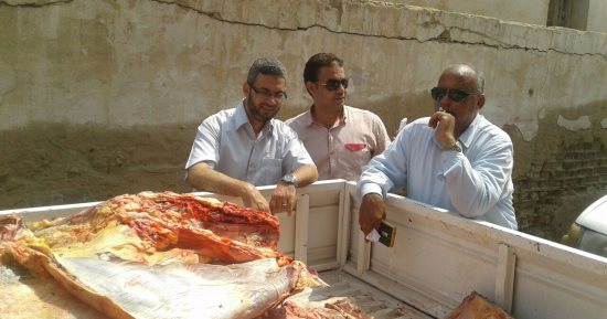غلق محال بمصر القديمة بعد ضبط لحوم ودواجن فاسدة