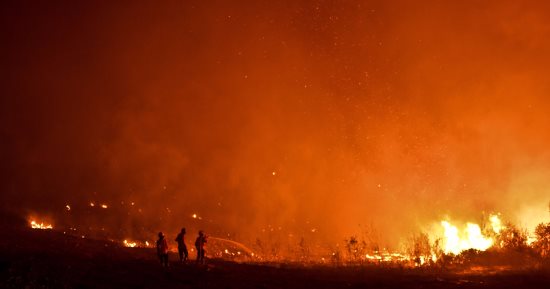 الحرائق تتلف 697 هكتارا من الغابات والأدغال بعدد من المدن الجزائرية