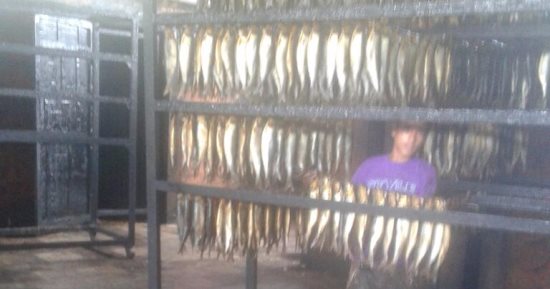 بالصور.. ضبط ٢ طن ملح و٥٠٠ كيلو رنجة فاسدة داخل مصنع بكفر الزيات