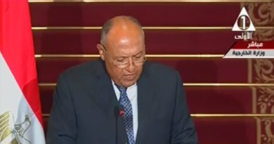 سامح شكرى: تجمعنا صداقة قوية بألمانيا ونتطلع لدعمها فى مواجهة التحديات