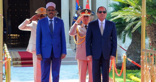 بالصور.. السيسي لرئيس الصومال: مهتمون بتفعيل مختلف أوجه التعاون الثنائى