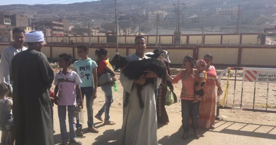 بالصور.. "زوار العذراء" يقدمون النذور والماعز والخراف فى دير درنكه بأسيوط