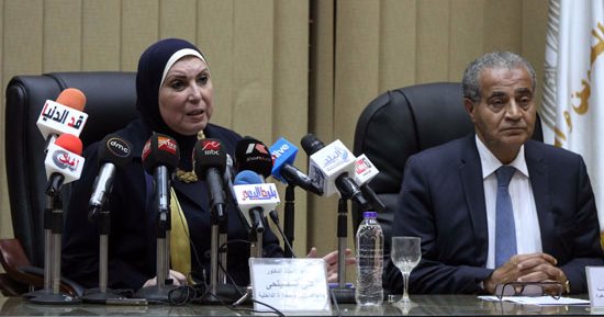 جهاز المشروعات الصغيرة يطالب بمزايا للقطاع غير الرسمى فى القانون 141