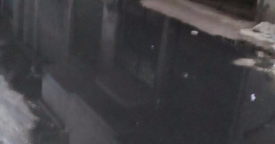 شكوى من غرق شوارع الفلكى بالإسكندرية بمياه الصرف الصحى
