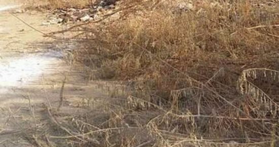 أهالى نجع شرف بسوهاج يستغيثون لحل أزمة المياه الملوثة
