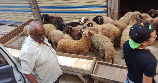 حملة مكبرة لمطاردة الباعة الجائلين بشوارع حى وسط بالاسكندرية