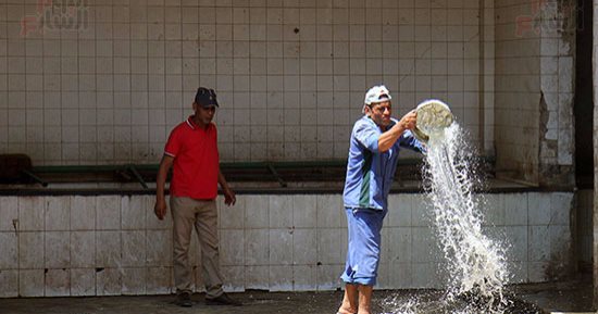 فتح 32 مجزرا بالمجان خلال أيام العيد بالمنوفية