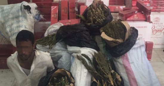 بالصور..ضبط عاطل وبحوزته 15ألف علبة سجائر مسرطنة و20 كيلو بانجو بشمال سيناء  