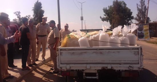 بالصور.. ضبط 100 ألف وحدة زريعة سمك بلطى محظور صيدها بكفر الشيخ