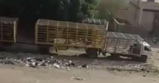 مخزن أسطوانات غاز داخل الكتلة السكنية فى المقطم يثير ذعر الأهالى