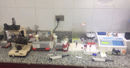 "التجارب السريرية" يلزم الباحث بتقديم تقارير دورية بشأن مسار البحث الطبى