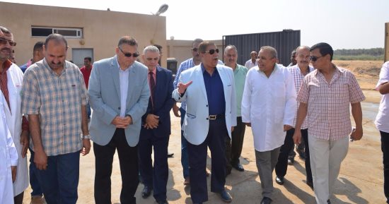 محافظ الإسماعيلية : توفير لحوم بلدية للمواطنين بمركز البحوث الزراعية بـ90 جنيه