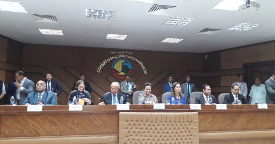وزير التنمية المحلية: ضم قصور الثقافة للمحليات أمر عار من الصحة 