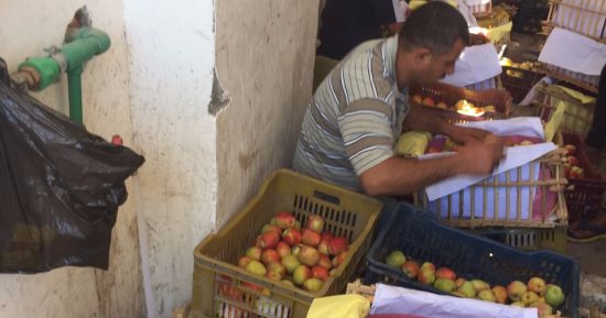 بالصور.. ضبط 75 طن تفاح بلدى غير صالح للاستهلاك الآدمى بالإسكندرية