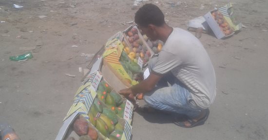 "المانجا الإسماعيلاوى" تغزو أسواق دمياط.. و"السكرى" تكسب لرخص سعرها