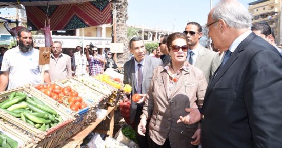 بالصور ..وزير التنمية المحلية يوجه بتوفير تمويل لمنافذ " مشروعك " بالبحيرة