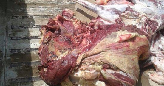 ضبط لحوم مذبوحة خارج السلخانة فى حملات بأسيوط والمنيا والمنوفية 