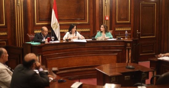 رئيس الضرائب العقارية للنواب: المأمور زمان كان بيحجز على "بطتين ووزتين"