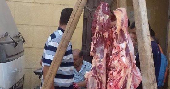 بالصور .. طرح لحوم بلدية بسعر 90 جنيه للكيلو بمركز المنيا