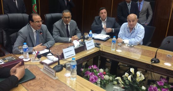 نائب وزير الإسكان يزور الدقهلية ويستعرض جهود تطوير 9 مناطقة سكنية خطرة