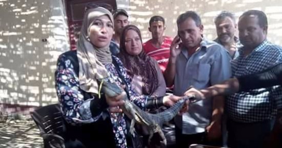 بالصور.. نفوق تمساح فى ترعة الإسماعيلية أثناء محاولات اصطياده
