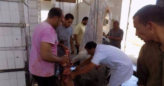 طرح لحوم بلدية بسعر 90 جنيه للكيلو فى مركزين بالمنيا