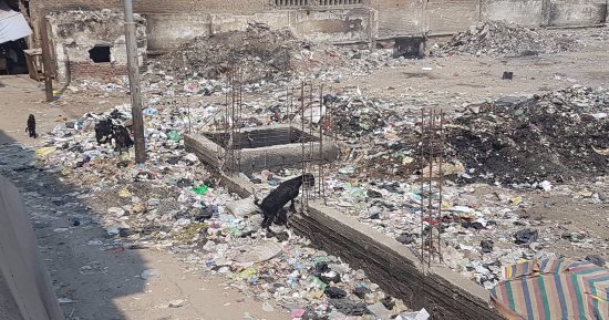 بالصور.. تحول مدرسة طلعت حرب التجارية بالشرقية إلى مقلب قمامة