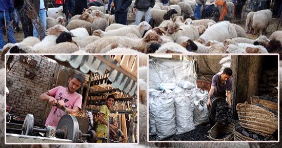 بالصور.. المحظوظون بالعيد الكبير "بتاع الفحم وبائع الشوايات وسنان السكاكين": فرحتنا بالعيد مرتبطة برزق ولادنا.. الشواية تصل 350 جنيها.. وكيلو الفحم بـ12 جنيها.. وأكثر ما يعكر صفو ليلة شوى صيفية "سكينة تلمة"
