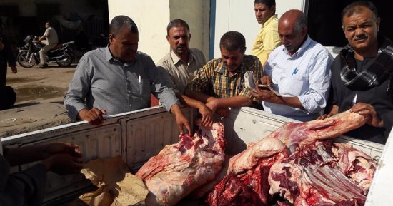 ضبط 156 كيلو لحوم مذبوحة خارج المجزر في حملة علي جزارين القوصية بأسيوط
