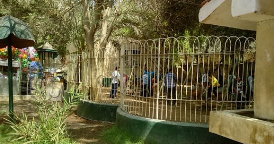 لجنة من الإدارة المركزية لحدائق الحيوان تتفقد حديقة حيوان الفيوم