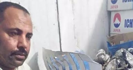 صحة بنى سويف تضبط 195 كيلو أسماك منتهية الصلاحية