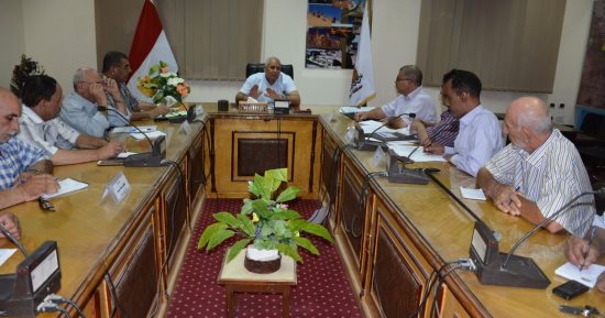 محافظ الوادى الجديد يحدد سعر كيلو البلح من 10 إلى 12 جنيه للكيلو 