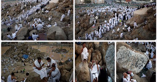"لبيك اللهم لبيك".. ضيوف الرحمن على عرفات لتأدية الركن الأعظم للحج
